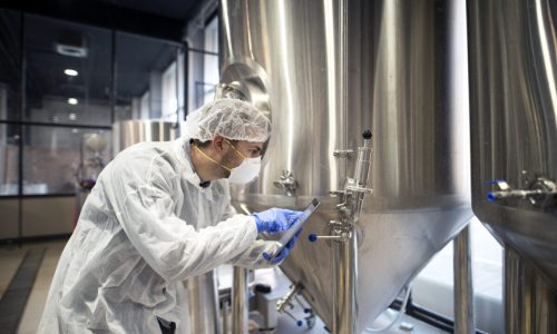 Professional technologist checking production in factory.